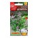 Coriander seeds vegetable "healer", c/p, 2 g
