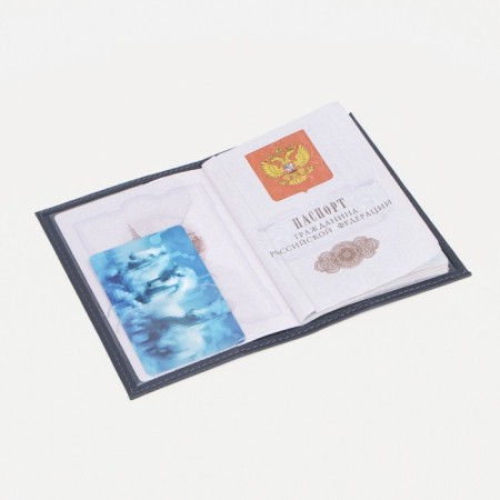 Cover for passport, dark blue color-4