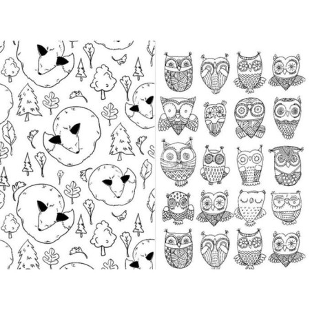 Foxes and owls-4