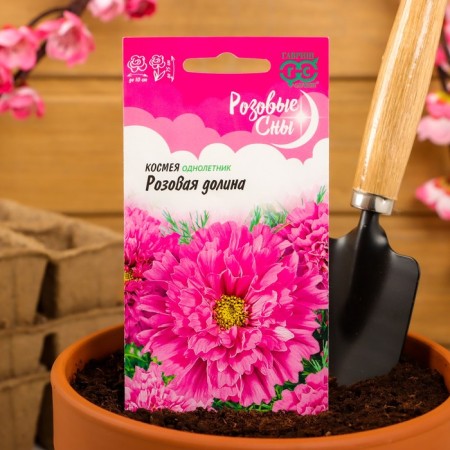 Cosmea Flower seeds "Pink Valley", terry, series Pink Dreams, 0.05 g-2