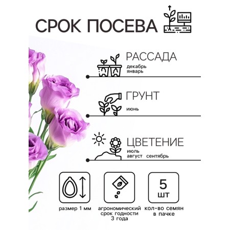 Eustoma Eustoma "Aibisi" F1 purple large -flowered terry, 5pcs-1