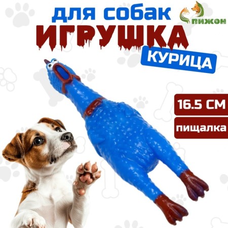 Toy of the "thoughtful chicken" small for dogs, 16.5 cm, bright blue