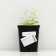 Colorbow peeling, P9 pot (readiness June), 1 pc, spring 2024