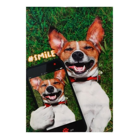 A set of notebooks A6, 40 sheets in a cage on a clip "Pyoso-Selphi", cover coated cardboard, an offset unit, 4 pieces-6