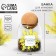 Bank for storage "Happiness to be at home. Tender mimosa ", 500 ml