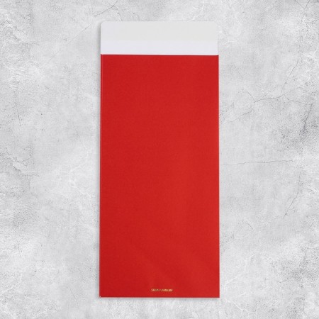 Set of gift envelopes "Congratulations", 10 pieces, embossing, 11 x 22 cm-27