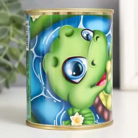 Pigging bank Metal "Turtle"-2