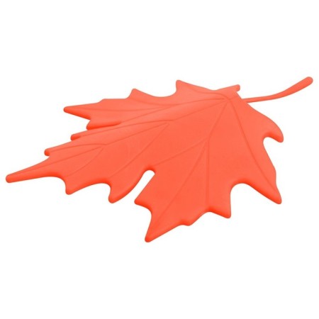 Kilest Killing Liszt door-3