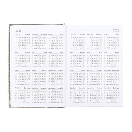 Dated diary 2025 A5 168 sheets, Attomex. Arkona, solid cover, boomvinyl with foam, liesse, block 70, gray-8