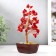 Bonsai souvenir 60 stones "Cash tree with rubies" 13x7x5 cm