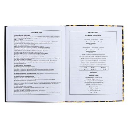 Universal Grade 1-11 Diary, 48 sheets "Art Banan", integral cover, matte lamination, selective UV-fluid-10