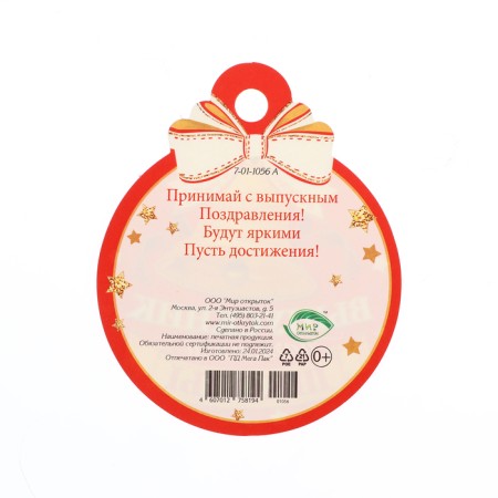 Medal "Graduate of primary school!" Bell on a red background, 10 x 10 cm-1