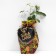 Sahenian Rosa Lydia, spray rose, pot 2 l., Summer 2024