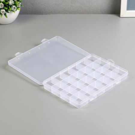 Casket Plastic for trifles "rectangular" 24 compartments 2.3x19.5x13.4 cm-1