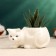 Pot "Cat Milka" White, 11x5x5cm