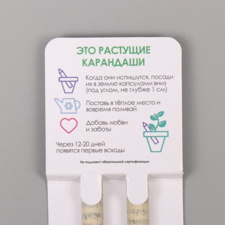 Growing gift pencils Mini "Basil + Mint" set 2 pcs.-2