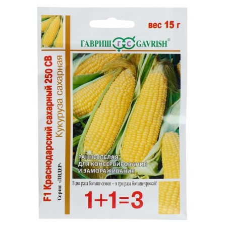 Corn seeds 1+1 "Krasnodar Sugar 250" SV F1, 15 g