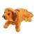 Ginger