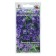 Flower seeds bell "heavenly azure", 0.1 g