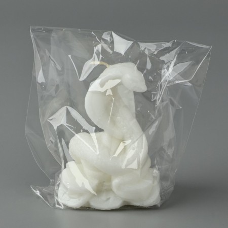 New Year 2025! Interior candle “New Year's collection: snake on coins”, white, 78 x 61 x 52-6