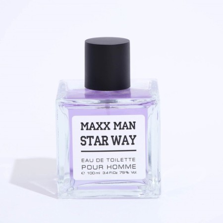 Male Water Male Maxx Man Starwa, 100 ml (based on EgoSte Platinum (Chanel)-4