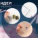 Sewing set, 22 items, in a plastic container, 9 × 5.5 × 2 cm