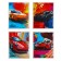 Notebook of 48 sheets in the “bright car” cage, plastic cover, mix