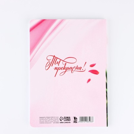 Diary A5+, 100 sheets soft region. SOFT-Tach "since March 8"-3