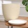 Flower pot "Plisa Shampan Budo No. 8", 22 l