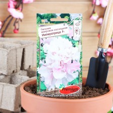 Flowers of Petunia Frequencies Casket 