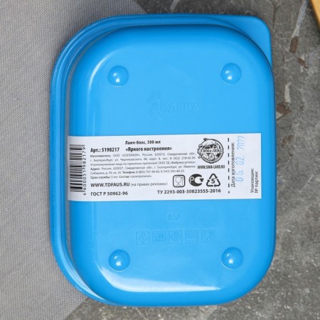 Lunch box "Bright mood", 0.5 l-3