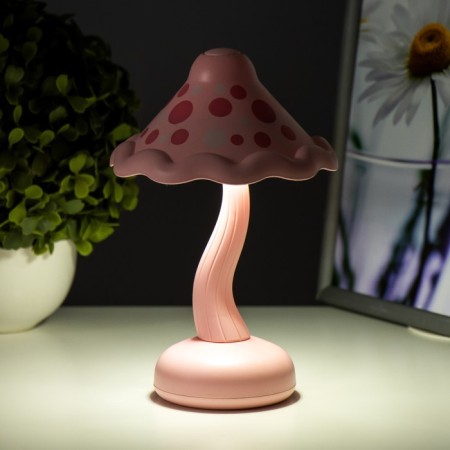Nightlight "Mushroom" LED 2W USB AKB MIX 13x13x21 cm Risalux-4