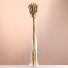 A set of dried flowers 