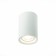 Ceiling lamp ST LUCE. ST114.507.01. 1x50 W, GU10, 6.5x6.5x9.3 cm, white color