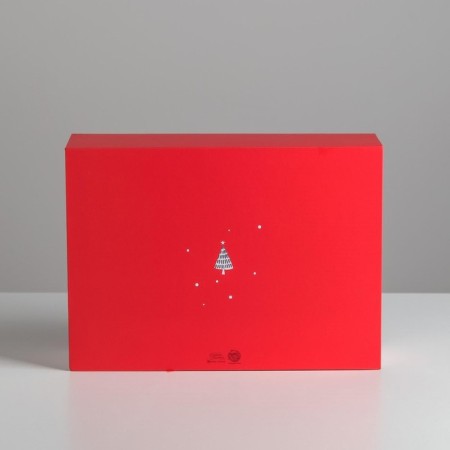 Box - Kniga "New Year's Gift", 27 x 19.5 x 8 cm, New Year-4