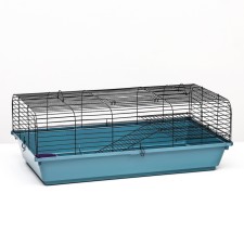 Rodent cell, 77 x 44 x 28.5 cm, mix of flowers