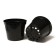 Pot for seedlings, 15 l, d = 31 cm, h = 26 cm, black, Greengo