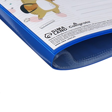 Portfolio folder plastic A4, calligrata "team", 20 files-3