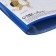 Portfolio folder plastic A4, calligrata "team", 20 files