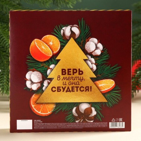 New Year's gift set “Believe in a dream, and it will come true”: chocolate, tea-4