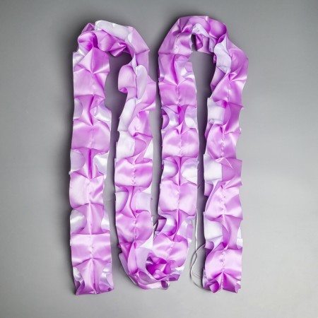 Set on the car "Guest" elite tape with an angle on the hood, 4 bow on pens, lilac-1