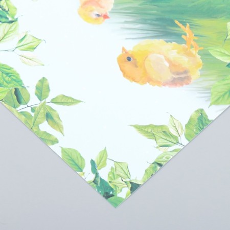 Scrapbooking paper "Chickens on the grass" density 180 g 15.5x17 cm-2