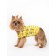 Polo with muffles for dogs "Giraffes", size 25 (DS 25 cm, OG 35-37 cm), cotton 1026
