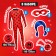 Carnival set "God's cow", height 116–128 cm, combuster, mask, bag, wig