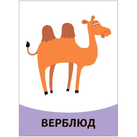 Developing cards. Animals-2