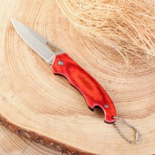 Folding Knife 