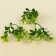 A branch of greens, size 1 pc. - 10 × 4 × 4 cm, set - 3 pcs.