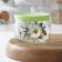 Bank for bulk products "Magnolia", 420 ml, color mix