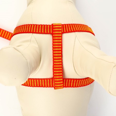 Acunition set is embossed, leash 120 x 1.5 cm, OG 36-49 cm, red-yellow-4