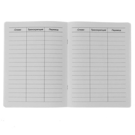 Notebook for recording English words for elementary school 24 sheets "meow", covering of coated cardboard, glossy lamination-1